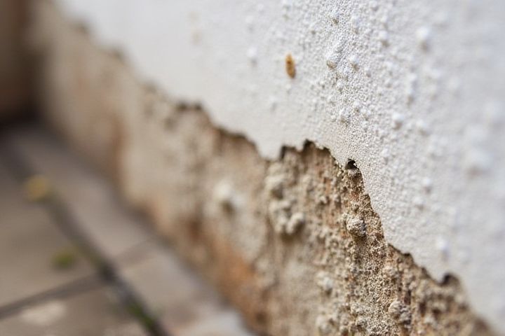 Essential Guide to House Damp Proofing: Protecting Your Home from Moisture Damage