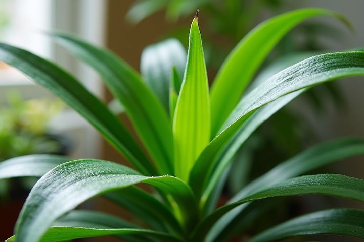 Best Places to Buy Houseplants Online - Top Sites for Indoor Plant Shopping